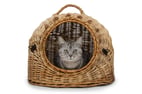 Successful Communication of Strategic Change Needs More Than Just One Neurone (Or Letting the Cat Out of the Bag)