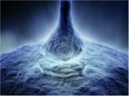 To Connect or Not to Connect. That Is the Question. Part Four: Consciously Adjusting Boundaries