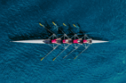 How Do You Achieve Organisational Utopia?