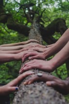The Informality of the Family