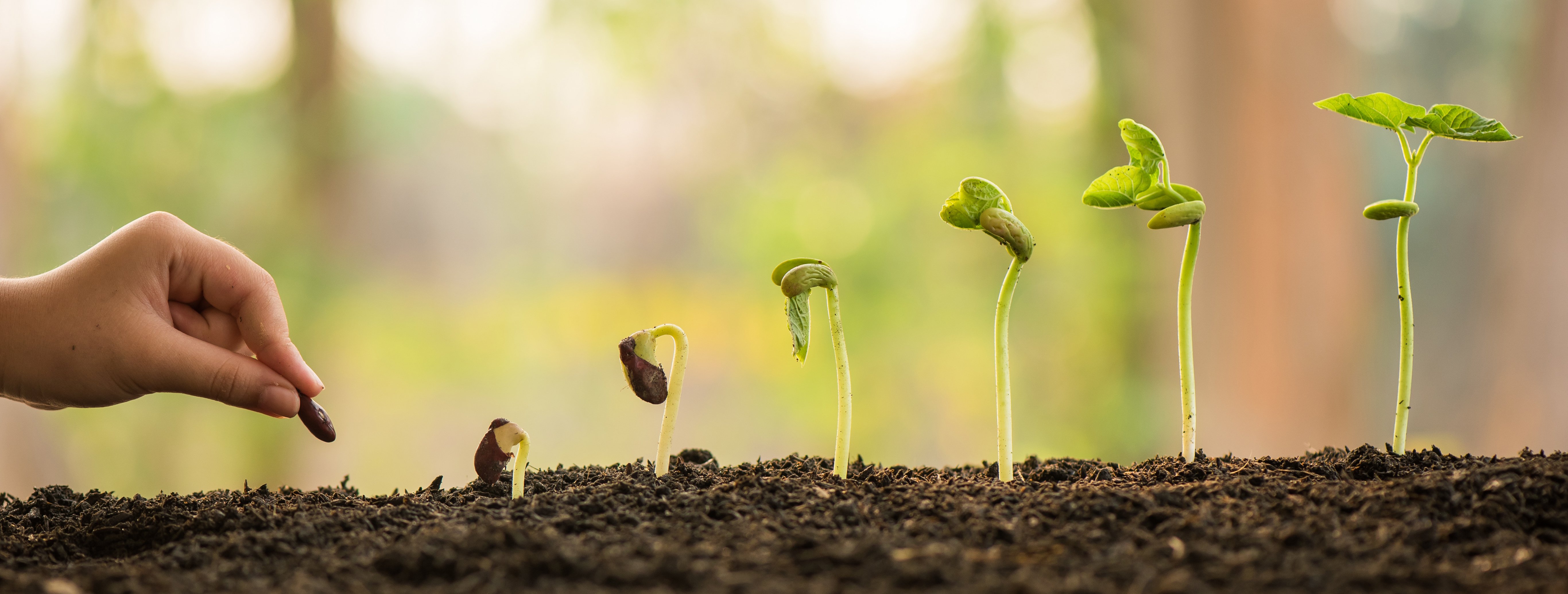 GrowingPlants
