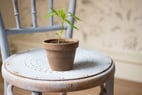Meaning in a Machine World: 3 Things Business Leaders Can Do to Support Individuals Through the Disruptions of the 21st Century