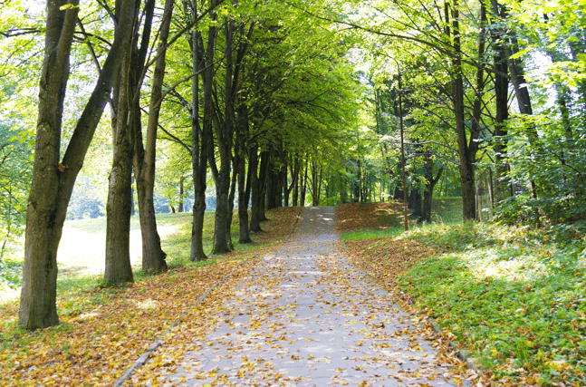 hazy-summer-road