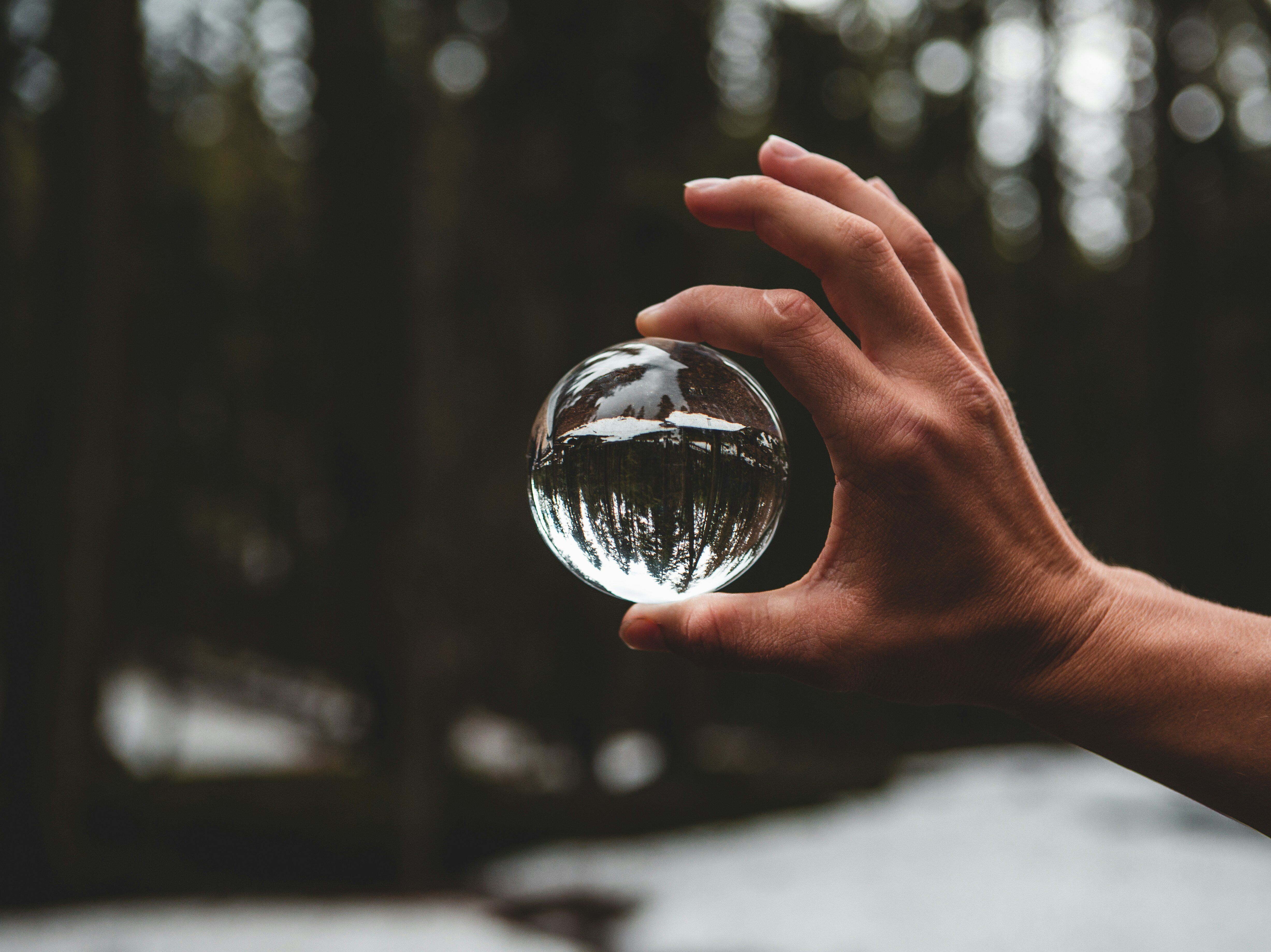 Photo by Patrick T'Kindt on Unsplash