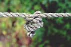 How Can I Improve My Organisation's Culture?